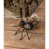 Bethany Lowe Halloween Gold Jeweled Glitter Spider TD0069 Authorized Dealer - The Primitive Pineapple Collection
