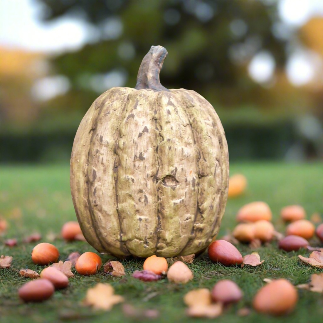 Primitive/Country 3.75" WHITE TALL PUMPKIN Ragon House - The Primitive Pineapple Collection