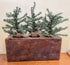 Primitive Reproduction Christmas Oak Wooden Sugar Mold Candle Holder 3 Trees - The Primitive Pineapple Collection