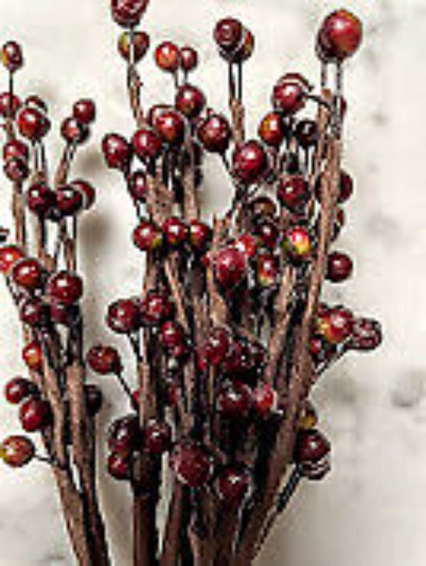 Primitive Farmhouse 10" Faux Rosehip Berry Sprigs - The Primitive Pineapple Collection