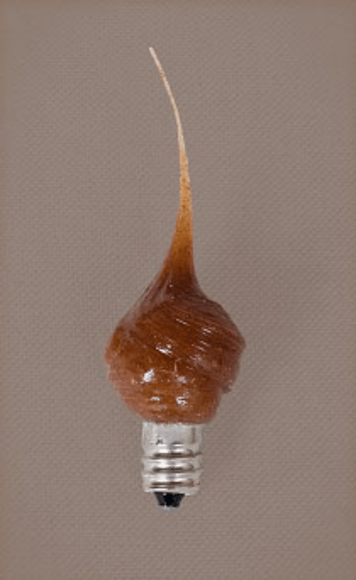 Primitive/Farmhouse 3 watt Cinnamon Scent Silicone Tiny 1/2" Light Bulb - The Primitive Pineapple Collection
