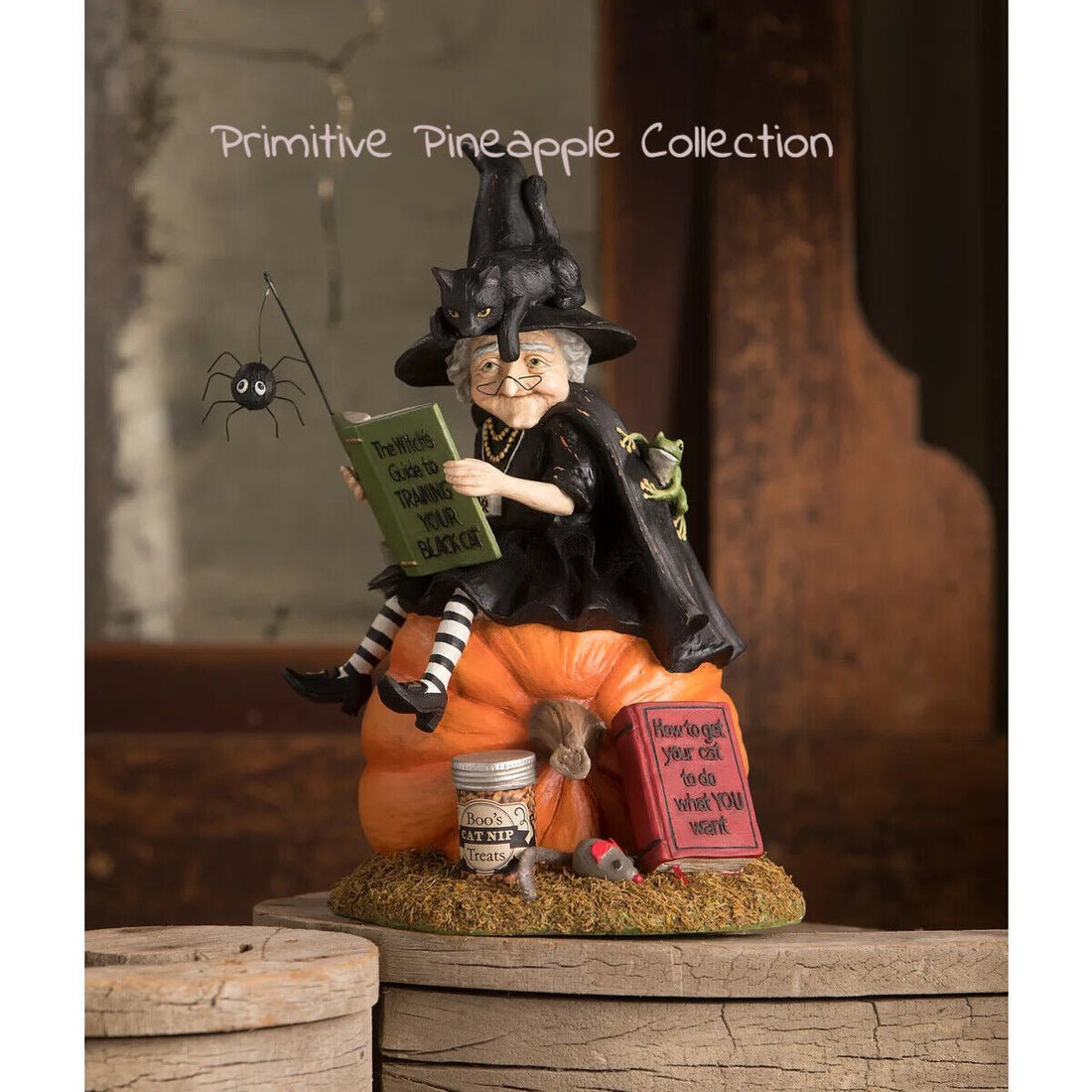 Bethany Lowe Halloween How to Train your Black Cat Witch TD1203 - The Primitive Pineapple Collection