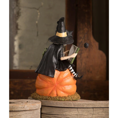 Bethany Lowe Halloween How to Train your Black Cat Witch TD1203 - The Primitive Pineapple Collection