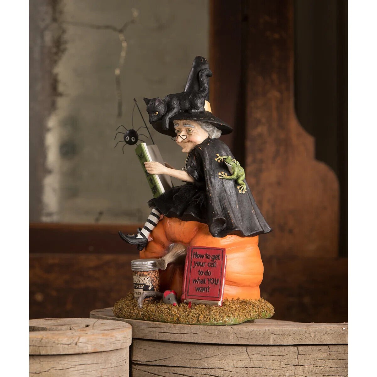 Bethany Lowe Halloween How to Train your Black Cat Witch TD1203 - The Primitive Pineapple Collection