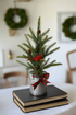 Primitive/Country Christmas Tabletop Evergreen Tree in Milk Can/Cardinal Bird - The Primitive Pineapple Collection