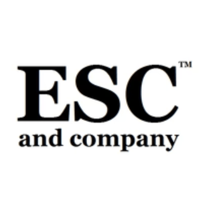 ESC and Company Christmas Dee Harvey Star Stocking Santa Figurine - The Primitive Pineapple Collection