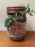Primitive Handcrafted Colonial Magic Christmas Gingerbread Jar - The Primitive Pineapple Collection